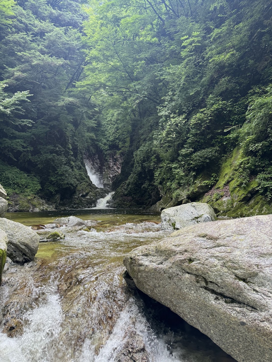 尾白川渓谷